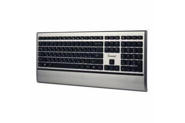 Клавиатура Smartbuy Multimedia SBK-216US-G 216 USB металлик