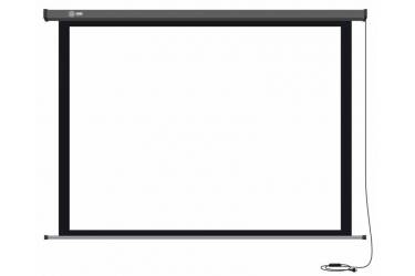 Экран Cactus 149x265см Professional Motoscreen CS-PSPM-149x265 16:9 настенно-потолочный рулонный (моторизованный привод)