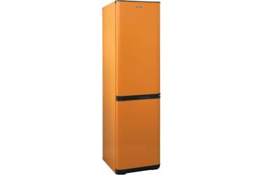 Холодильник Бирюса Б-T149 оранжевый (двухкамерный)