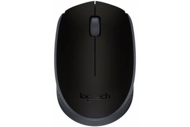 Компьютерная мышь Logitech Wireless Mouse M171 Black