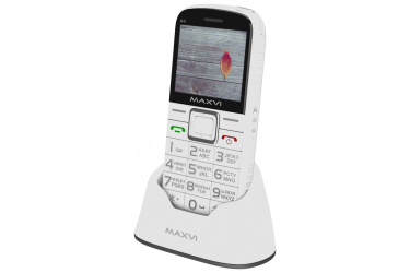 Мобильный телефон Maxvi B5 white