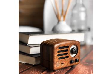 Радиоприемник Xiaomi Muzen Elvis Presley Radio FM Bluetooth Portable Speaker Walnut