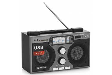 Радиоприемник портативный Сигнал БЗРП РП-306 черный USB SD