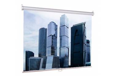 Экран Lumien 160x160см Eco Picture LEP-100105 1:1 настенно-потолочный рулонный