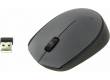 Компьютерная мышь Logitech Wireless Mouse M170 Grey
