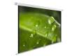 Экран Cactus 150x200см WallExpert CS-PSWE-200x150-WT 4:3 настенно-потолочный рулонный