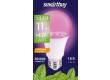 Светодиодная (LED) Лампа ФИТО Smartbuy-A60Fito-11W/E27 (SBL-A60-11-fito-E27)/100 _для растений
