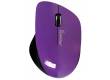 Компьютерная мышь Smartbuy Wireless 309AG фиолет/черный