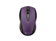mouse CANYON 2 in1 Wireless CNS-CMSW08B Bluetooth и USB Violet